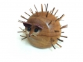 Hedgehog-bristled