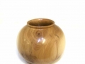 Yew-rounded-little-pot